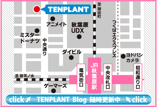 会場地図